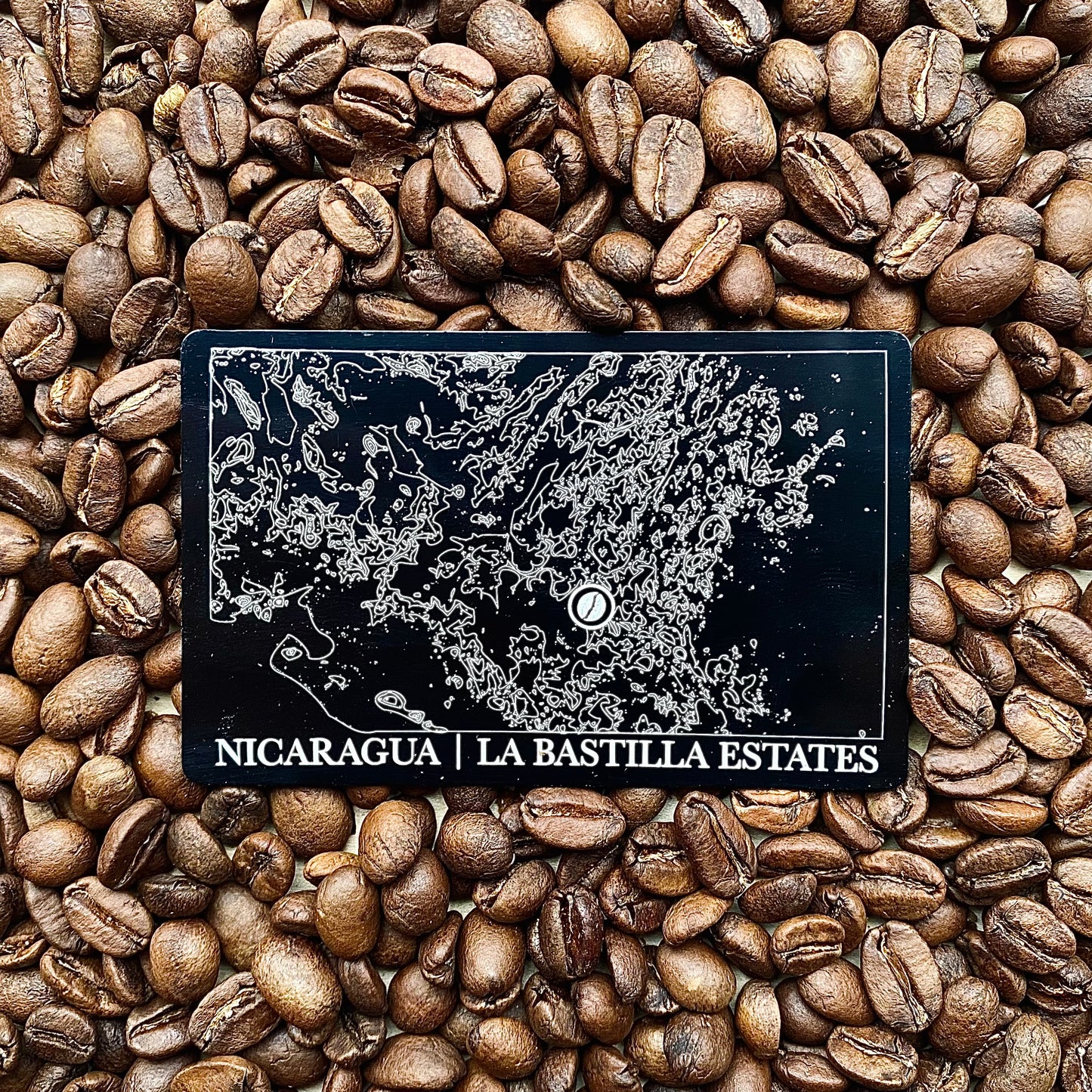 Nicaragua, La Bastilla Estates, Single Origin, Light/Medium Roast, 8 Oz.